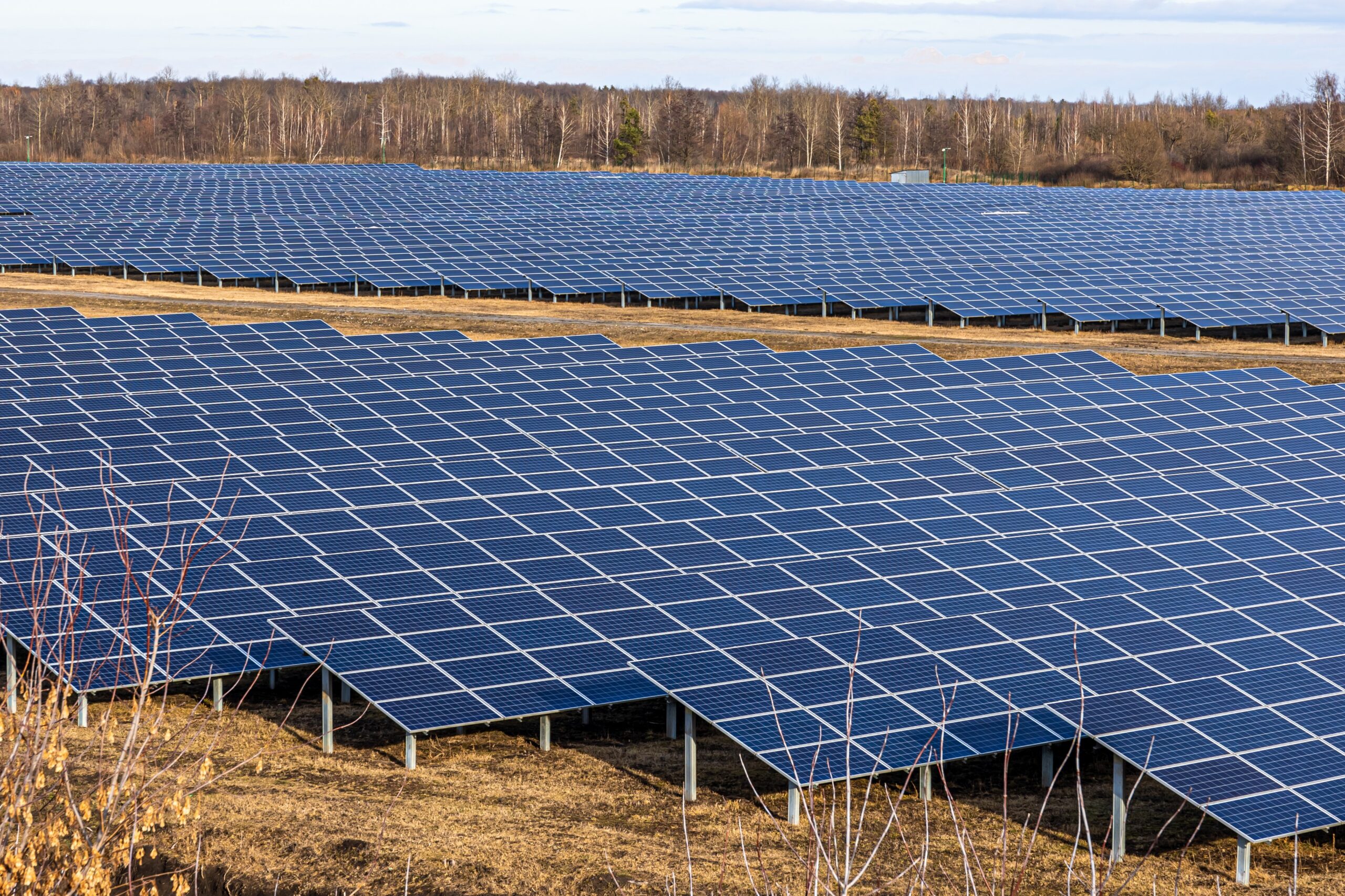 Electric farm with panels for producing clean ecologic energy.